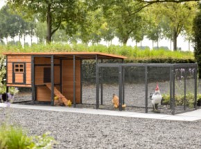 Poulailler Judy avec enclos · Brown · 379x100x105cm