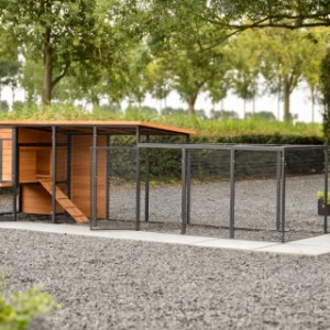 Clapier pour lapin Judy a grandes portes