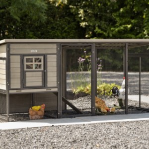Poulailler Judy est un achat pour votre jardin