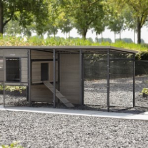 Clapier pour lapin Judy a plusieurs portes