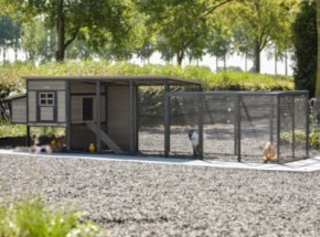 Poulailler Judy avec pondoir et enclos additive · Grey · 416x100x105cm