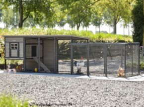 Poulailler Judy avec enclos additive · Grey · 379x100x105cm