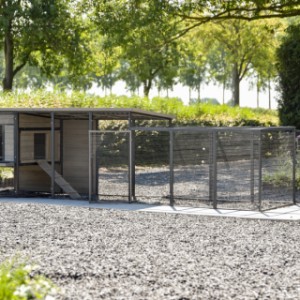Clapier pour lapin Judy a grandes portes