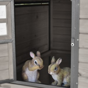 Clapier pour lapin Judy est approprié pour 3 à 5 lapins