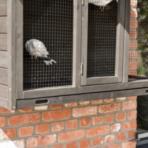 Volière murale Matty Large – le tiroir coulissant permet de nettoyer facilement la cage