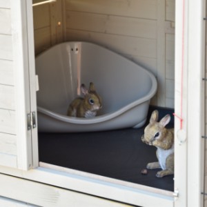 Dans l’abri de nuit du clapier Holiday Large, il y a suffisamment de place pour une toilette pour lapin.
