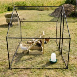 Vos poules ont toute la liberté de mouvement dans le parc à poules Grande.