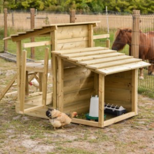 Le centre de jeu pour poules dispose d’un espace calme pour manger et boire.
