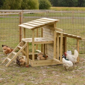 Centre de jeu pour poules 167x192x111 cm