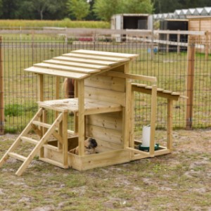 Le centre de jeu pour poules offre toujours de quoi occuper vos poules.
