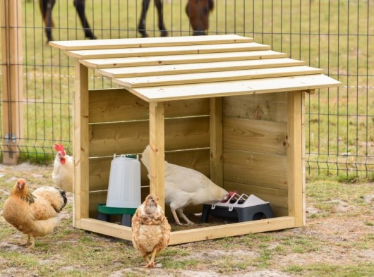 Abri pour poules 99x62x81 cm