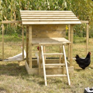 Jeu pour poules – un merveilleux terrain de jeu pour vos poules.