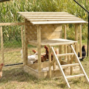 Jeu pour poules 167x120x111 cm