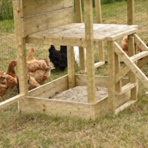 Se baigner dans le bac à sable du jeu pour poules