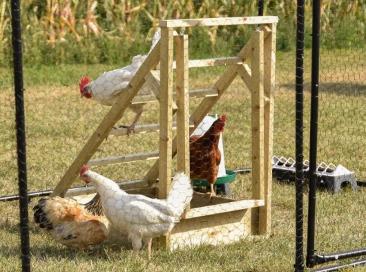 Échelle pour poules 61x87x90cm