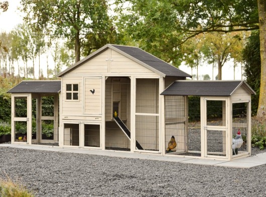 Poulailler Holiday Large avec double enclos 489x100x195 cm