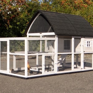 Clapier Kathedraal XL avec enclos et fondations 291x174x181cm