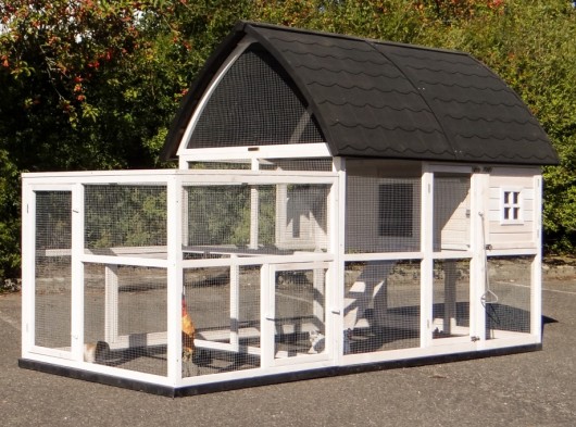 Clapier Kathedraal XL avec enclos et fondations 291x174x181cm