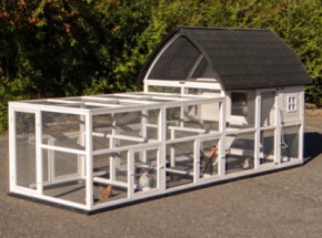 Clapier Kathedraal XL avec enclos supplémentaires et fondations 397x174x181cm