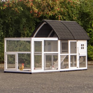 Clapier Kathedraal Large avec enclos et fondations 286x150x157cm