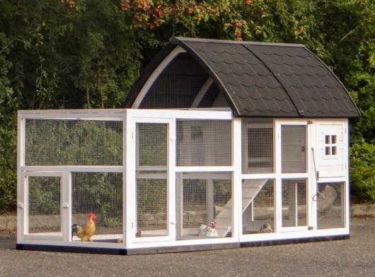 Clapier Kathedraal Large avec enclos et fondations 286x150x157cm
