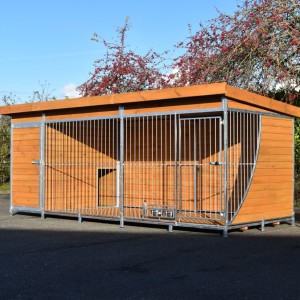 Chenil pour chien dans image-miroir?