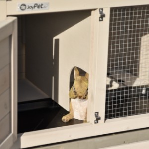 La nichoir de clapier pour cochon d'inde Annemieke est équipée avec un mur de séparation amovible