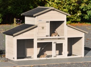 Clapier pour lapin Annemieke175x70x110cm