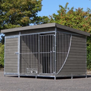 Chenil pour chien dans image-miroir?