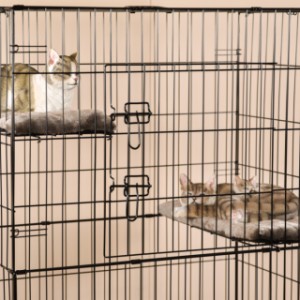 Cage pour chat Level avec portes fermées
