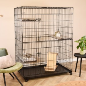 La Lift est une belle cage pour chat en métal noir pour l’intérieur.