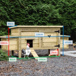 Poulailler Eggy de différentes tailles