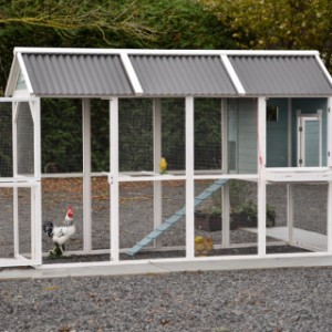 Le poulailler Alexia possède de nombreuses portes pratiques.