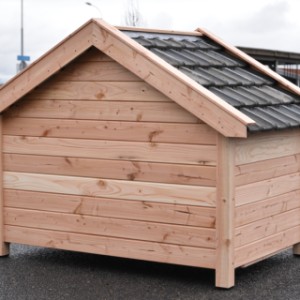 Jetez un œil à l’arrière de la niche Turbo