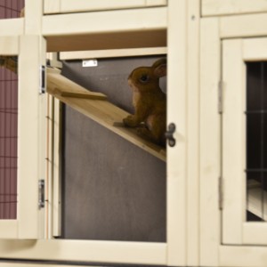 Grâce à la rampe, les lapins peuvent passer d’un niveau à l’autre dans le clapier Bobby.