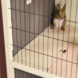 Les deux niveaux du clapier Bobby peuvent être fermés séparément.