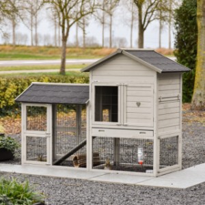 Prestige Medium avec enclos light-grey