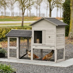 Prestige Medium avec enclos light-grey