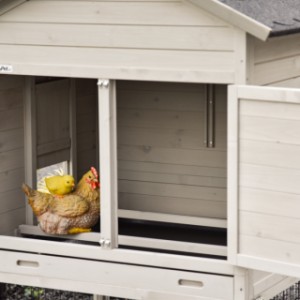 Dans le dortoir du Prestige Medium, les poules peuvent se percher tranquillement et à l’abri.