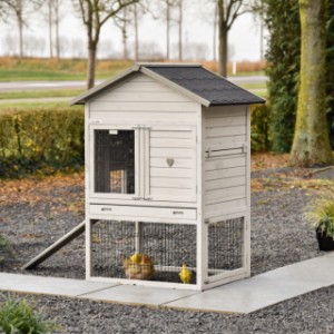 Prestige Medium gris clair