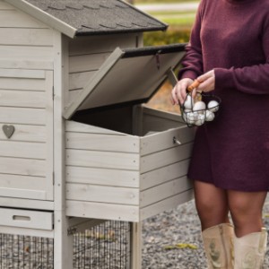 Grâce à la latte de maintien du pondoir, vous pouvez facilement prendre les œufs.
