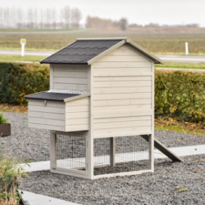 Jetez un coup d’œil à l’arrière du Prestige Medium avec pondoir.