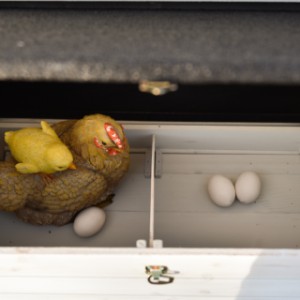 Le pondoir du poulailler Ambiance Large est divisé en 2 compartiments