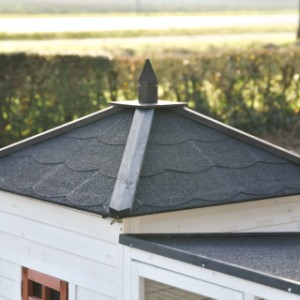 Le toit de l’Ambiance Large est amovible