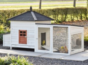 Poulailler Ambiance Large avec enclos 218x93x122cm