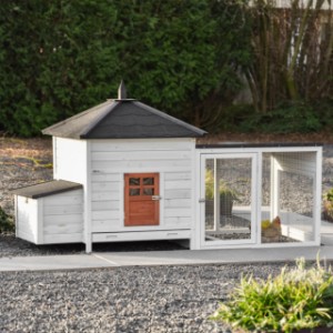 Poulailler Ambiance Large avec enclos