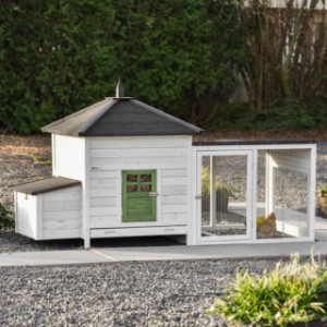 Poulailler Ambiance Large avec enclos