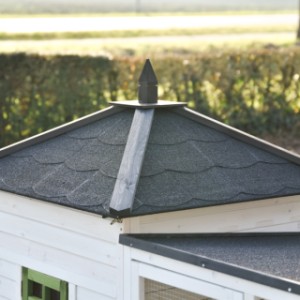 Le toit de l’Ambiance Large est amovible