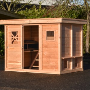 Jetez un coup d'œil à l’intérieur du poulailler convivial