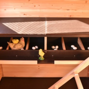 Ce grand pondoir confortable est adapté pour jusqu’à 6 poules en même temps.